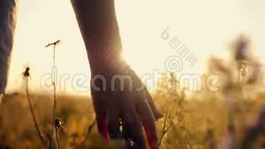 夕阳下的女孩在花田上，抚摸着手。 <strong>人与自然</strong>相统一的概念